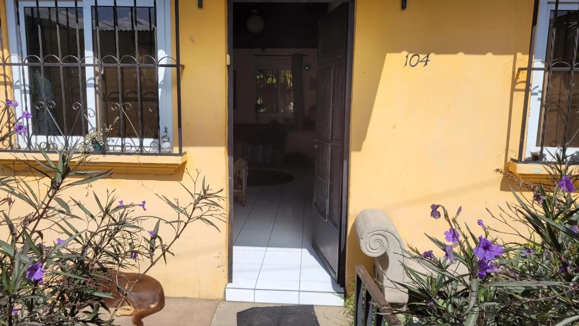 Bed & Breakfast Volcano View Modest Casita With Dogs Antigua