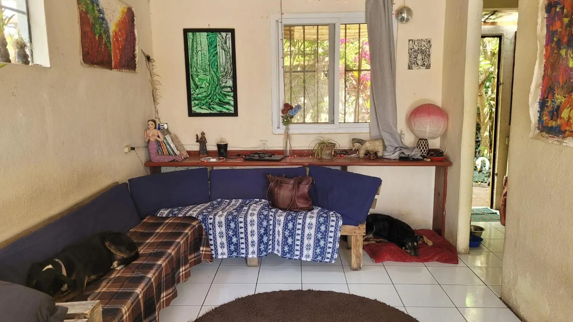 Bed & Breakfast Volcano View Modest Casita With Dogs Antigua